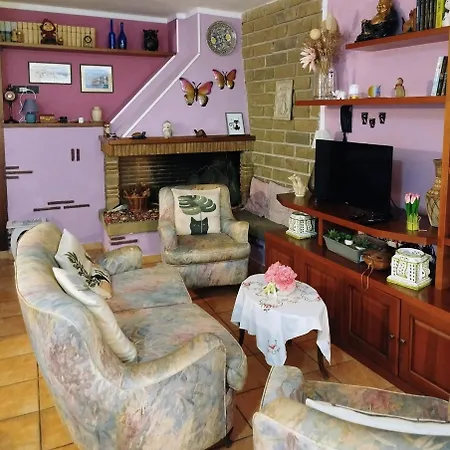 Gatto Matto Manziana