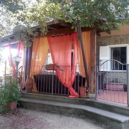 Gatto Matto 4*