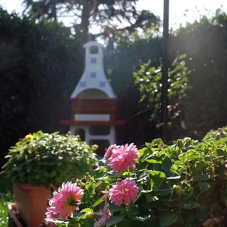 Gatto Matto Bed & Breakfast 4*