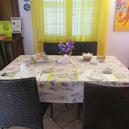 Gatto Matto Manziana